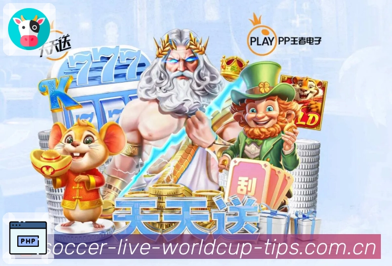 奖项证书